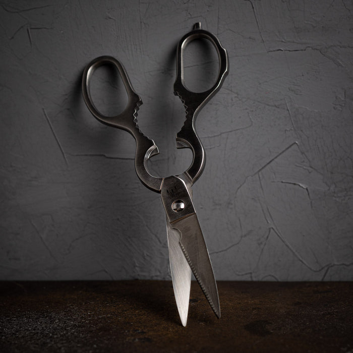 Come Apart Kitchen Shears